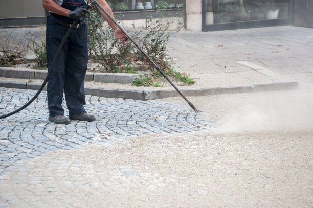 Best House Exterior Washing  in Eldorado, IL